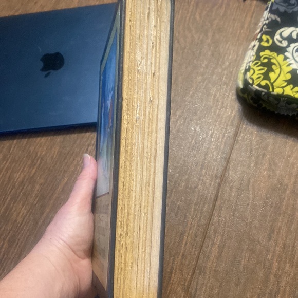 RARE 1901 Alice’s Adventures in Wonderland, Lewis Carroll, Illust. Peter Newell - Picture 10 of 11